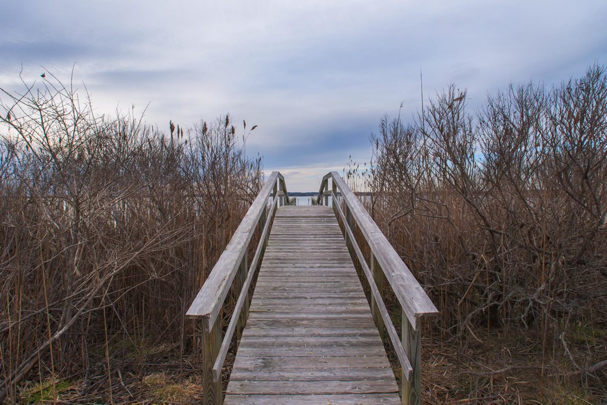 Waterfront Bridgehampton Rental - Hamptons Real Estate