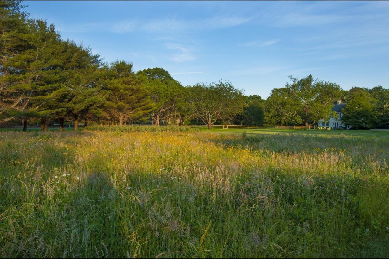 Green Top Farm, Southampton, NY Hamptons Real Estate