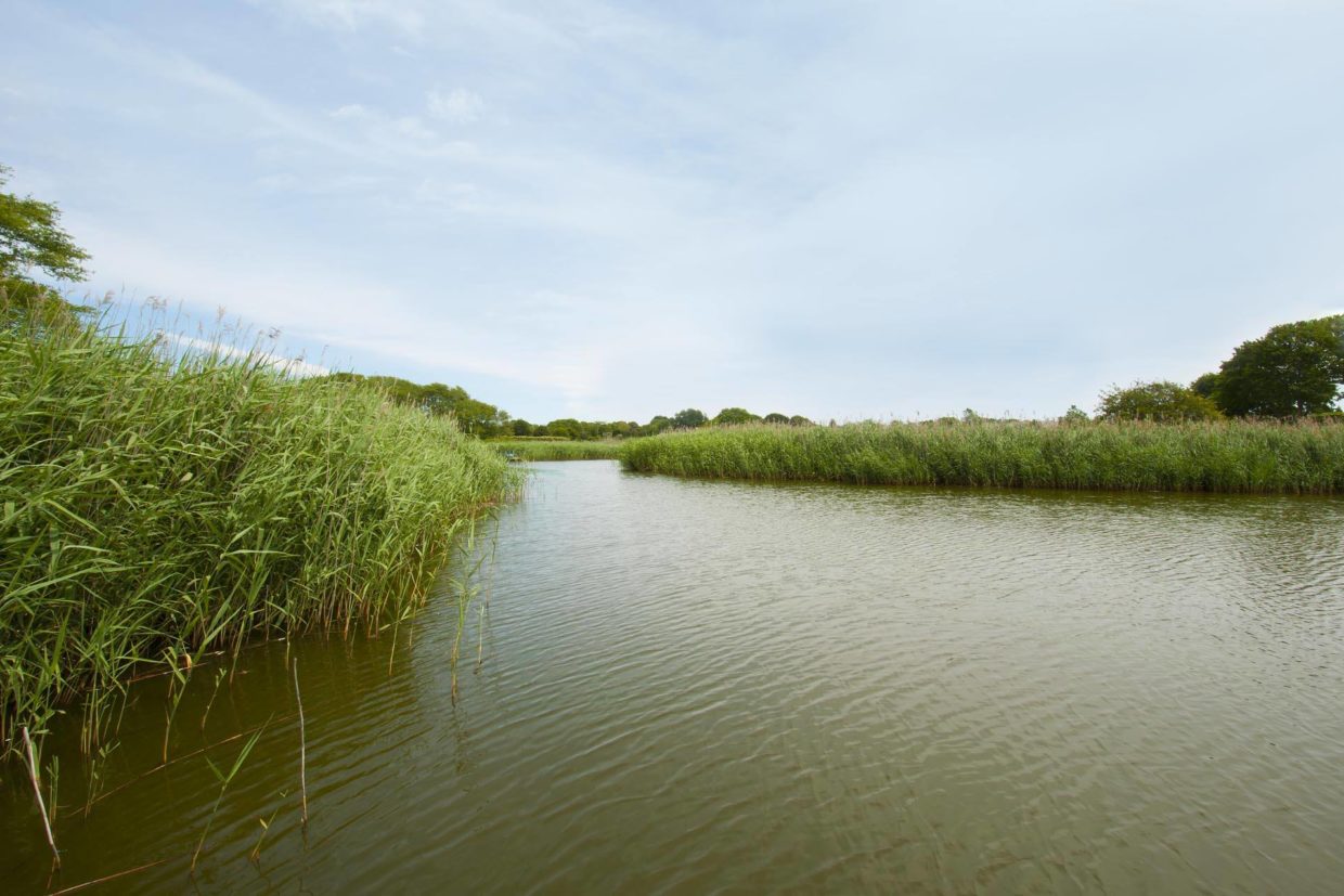 Sagaponack South, Sagaponack, NY - Hamptons Real Estate