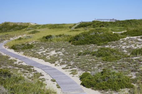 Jule Pond, Hamptons - Hamptons Real Estate