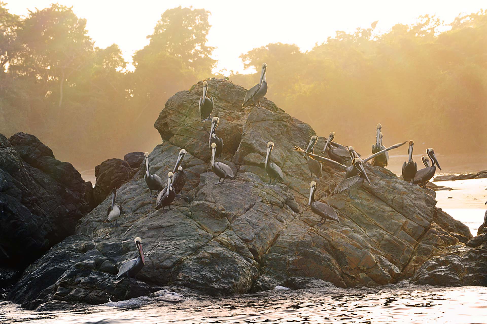 Islas Cayonetas, Panama