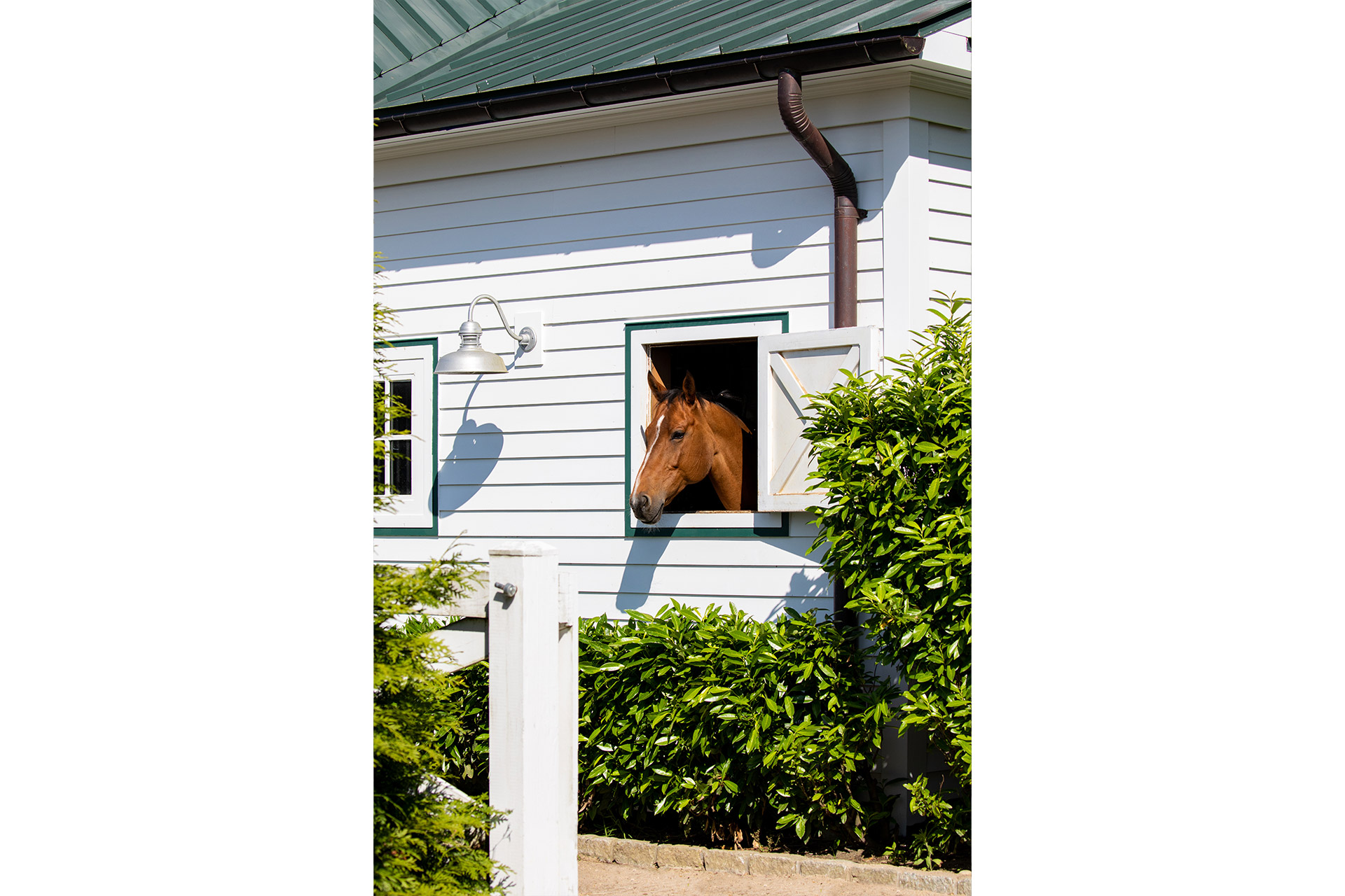 Khalily Stables, Bridgehampton