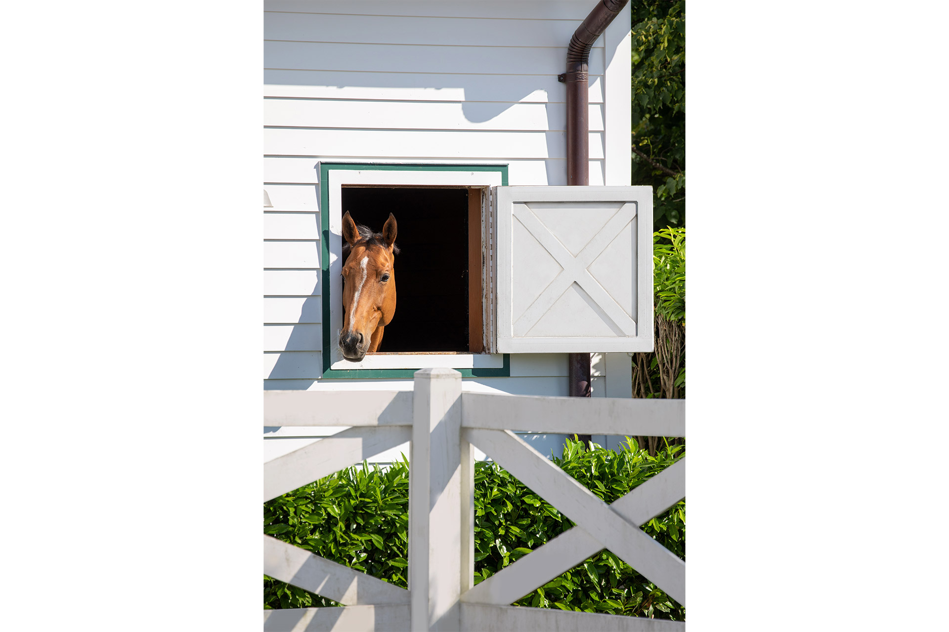 Khalily Stables, Bridgehampton