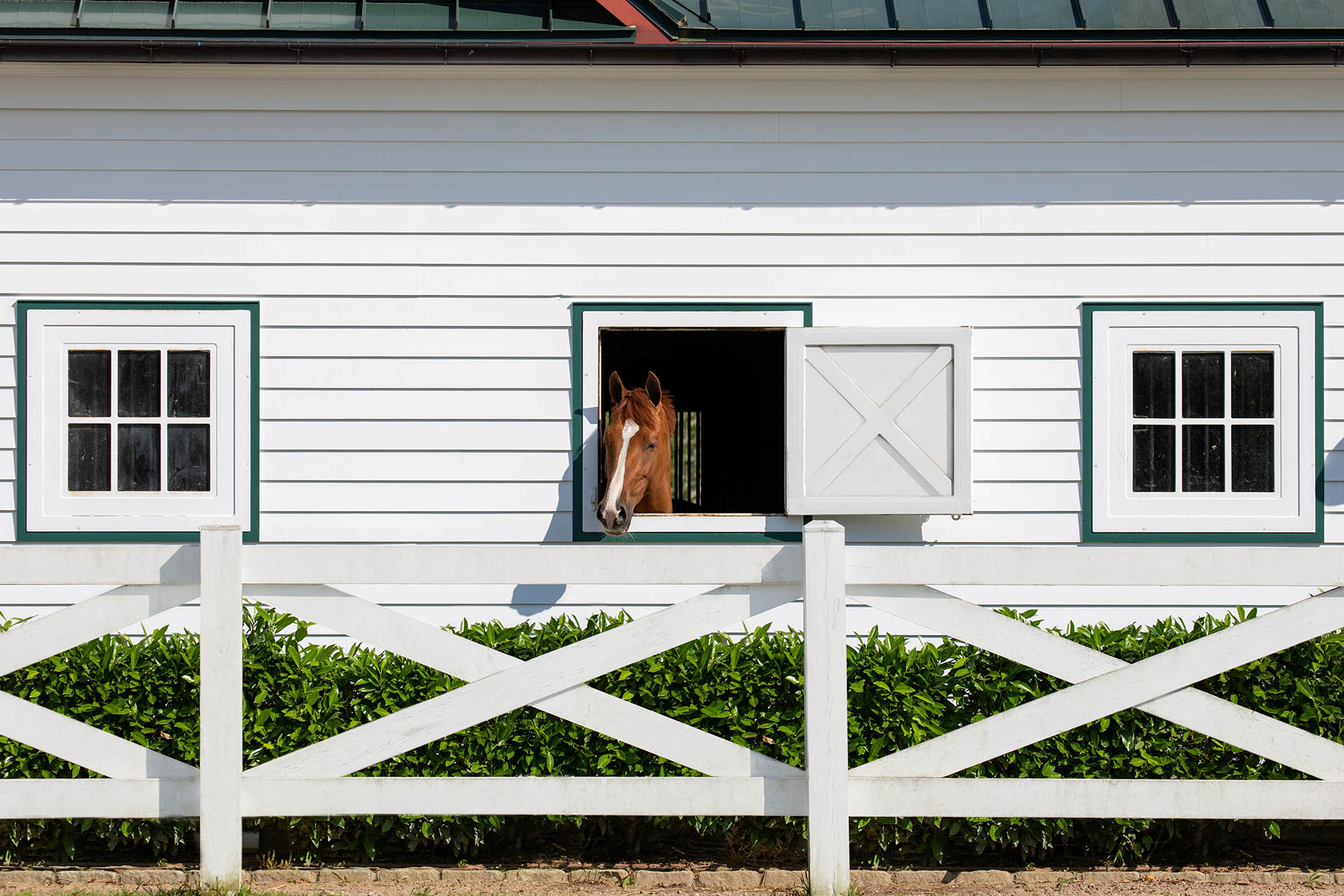 Khalily Stables, Bridgehampton