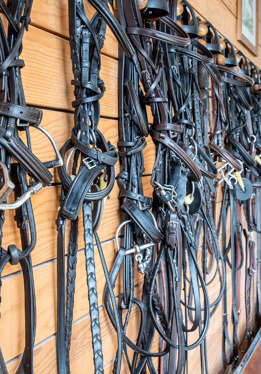 Khalily Stables, Bridgehampton