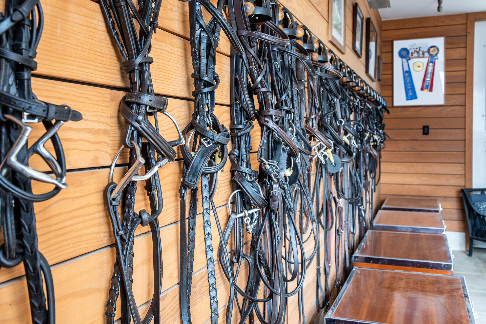 Khalily Stables, Bridgehampton