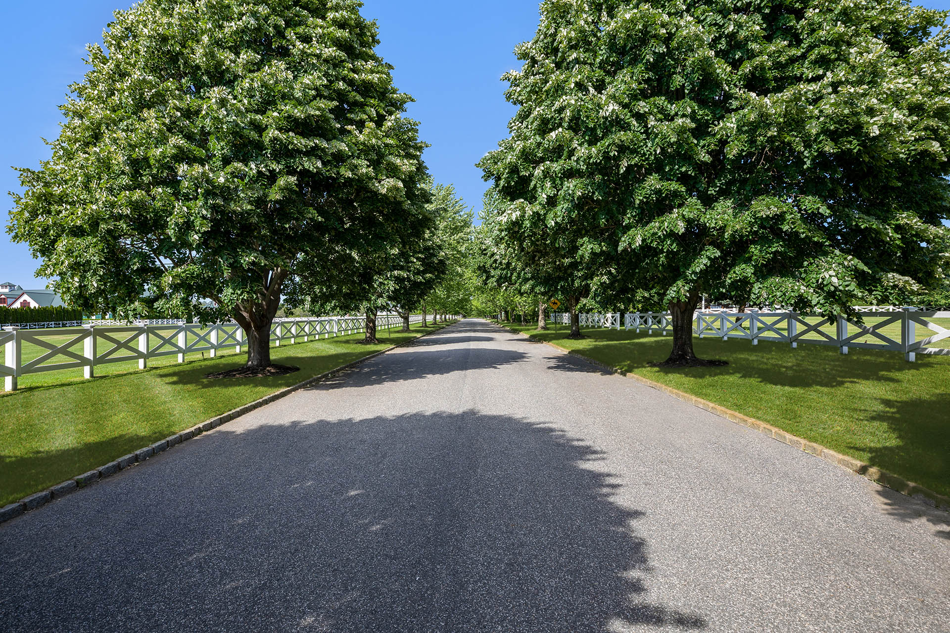 Khalily Stables, Bridgehampton